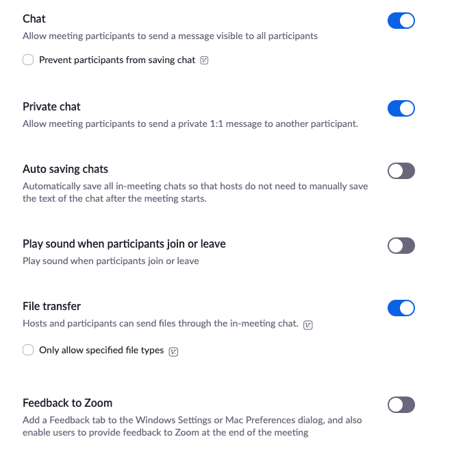 Zoom Settings